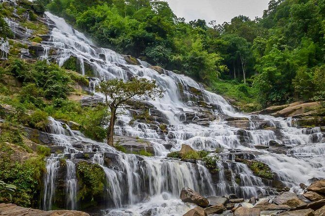 Doi Inthanon National Park Full Day Tour from Chiang Mai - Frequently Asked Questions