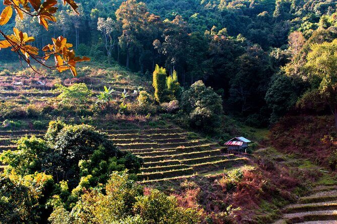Doi Inthanon National Park, Waterfall & Royal Project Day Tour From Chiang Mai - Practical Tips and What to Expect