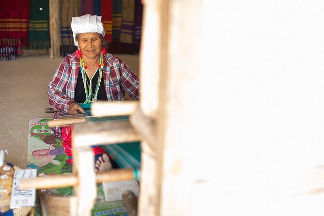 Doi Inthanon Summit Waterfalls and Hill Tribe Day Tour - Detailed Breakdown of the Itinerary