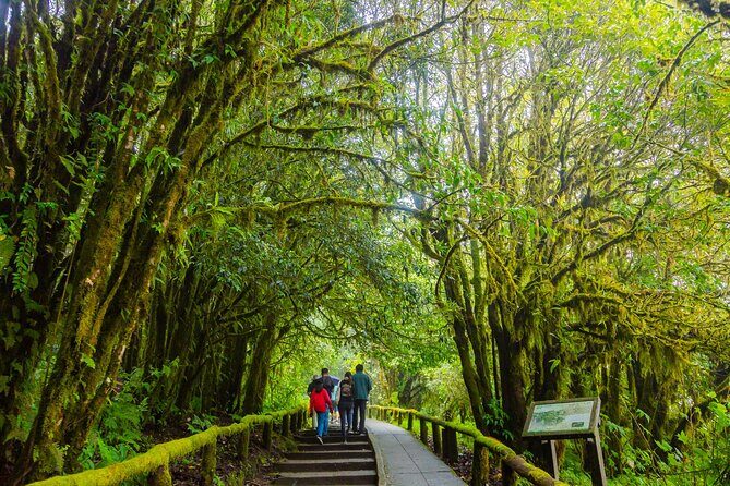Doi Inthanon Waterfalls Rice Fields Tour from Chiang Mai - FAQs
