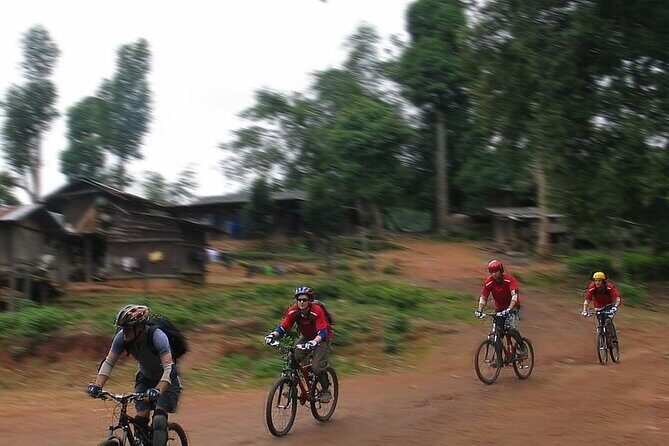 Doi Suthep National Park To Chiang Mai Beginner Downhill Mountain Biking - FAQs