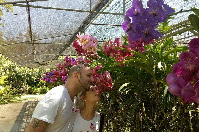 Doi Suthep Temple and Bau Thong Waterfalls Private Tour - The Sum Up: Who Should Consider This Tour?