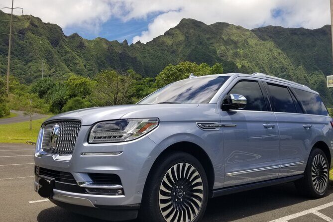 Dole,Garlic Shrimp, Northshore Customizable Group Priced Tour - A Personal Touch to Your Oahu Exploration: The Dole, Garlic Shrimp, North Shore Customizable Tour