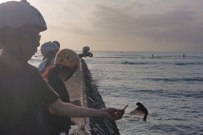 Dole,Garlic Shrimp, Northshore Customizable Group Priced Tour - An In-Depth Look at Your Oahu Adventure