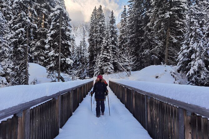 Dolomites of Bolzano Winter Hiking & Sledding Experience - Experience the Dolomites of Bolzano on a Winter Hiking & Sledding Tour