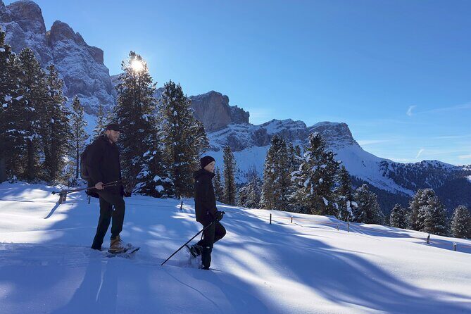 Dolomites of Bolzano Winter Hiking & Sledding Experience - What to Expect: The Details Matter