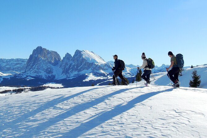 Dolomites of Bolzano Winter Hiking & Sledding Experience - Who Will Love This Tour?