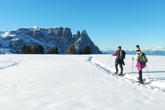 Dolomites of Bolzano Winter Hiking & Sledding Experience - Additional Information