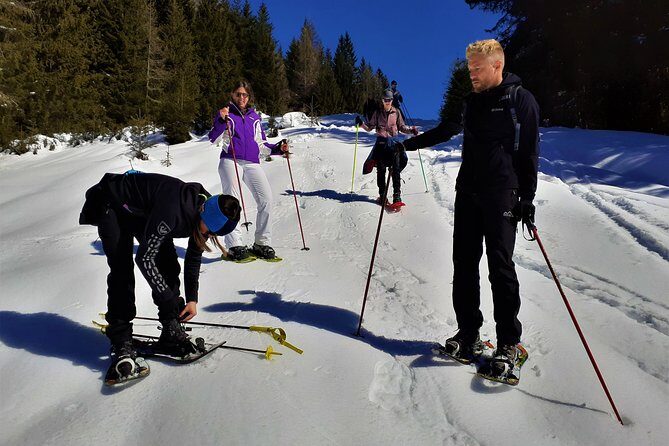 Dolomites Snowshoes Experience - The Sum Up
