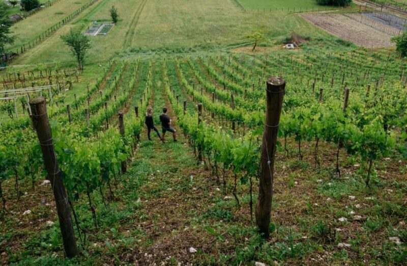 Dolomites Winery Tour and Wine Tasting near Belluno - Frequently Asked Questions