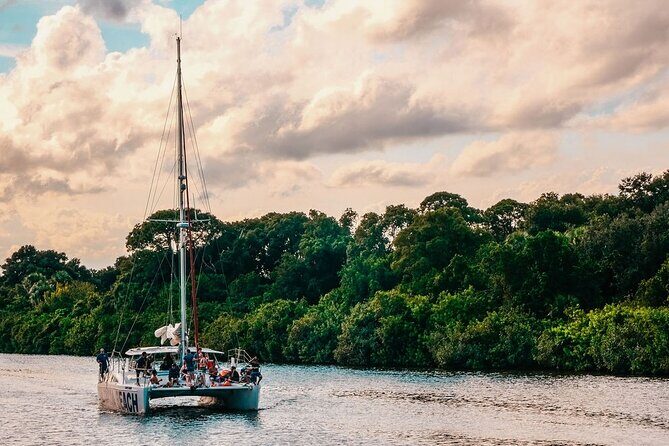 Dolphin Adventure Sail in Cocoa Beach - Dolphin Adventure Sail in Cocoa Beach: A Relaxing Wildlife Cruise