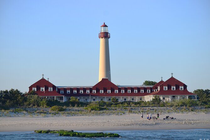 Dolphin and Bird Watching Ecotour Cruise - Dolphin and Bird Watching Ecotour Cruise in Cape May: A Practical Guide