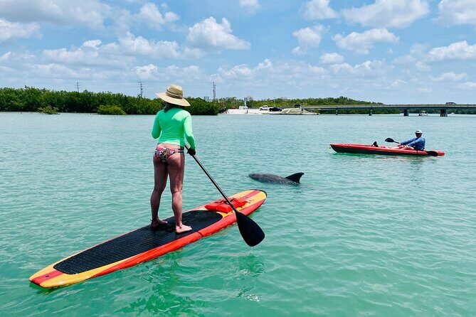 Dolphin and Manatee Adventure Tour of Fort Myers - Who Will Love This Tour?