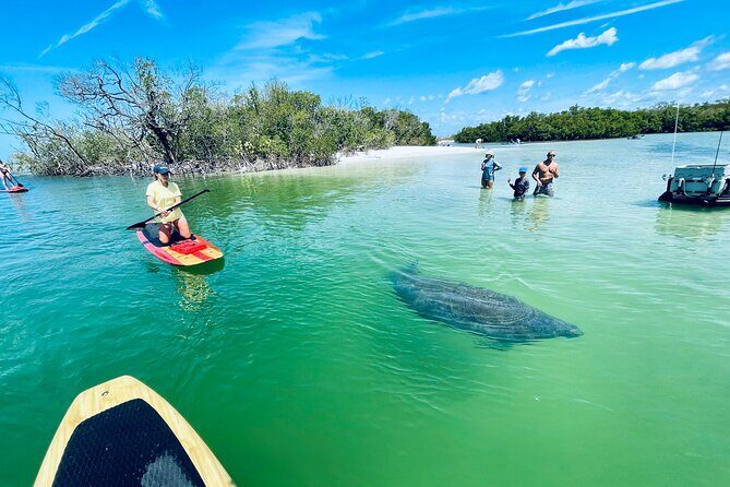 Dolphin and Manatee Adventure Tour of Fort Myers - Final Thoughts