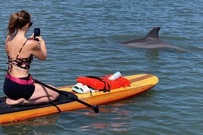 Dolphin and Manatee Adventure tour of Osprey with Florida History - A Detailed Look at the Dolphin and Manatee Adventure Tour