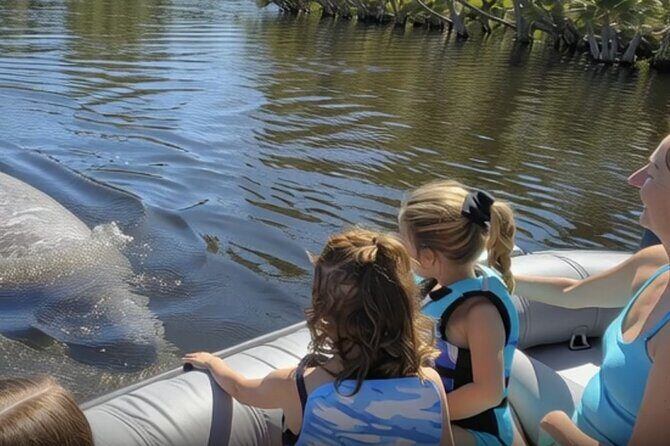Dolphin and Manatee Boat Tour from Cocoa Beach and Port Canaveral - A Close-Up Look at Florida’s Space Coast on a Small-Group Boat Tour