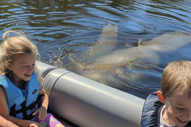 Dolphin and Manatee Boat Tour from Cocoa Beach and Port Canaveral - Key Points