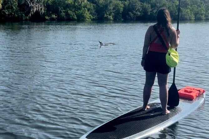 Dolphin and Manatee Kayak and SUP Adventure Tour of Cocoa Beach - Key Points