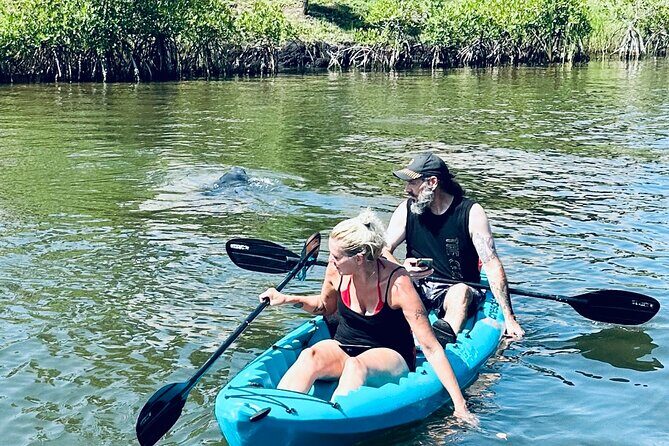 Dolphin and Manatee Kayak and SUP Adventure Tour of Cocoa Beach - Who Will Love This Tour?