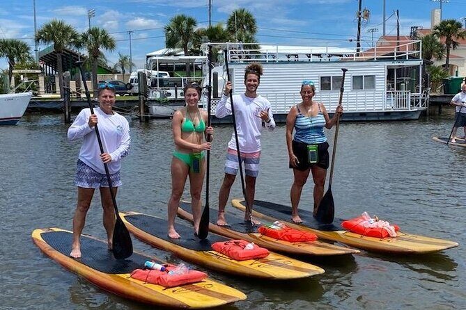 Dolphin and Manatee Stand Up Paddleboard Tour in Daytona Beach - The Sum Up