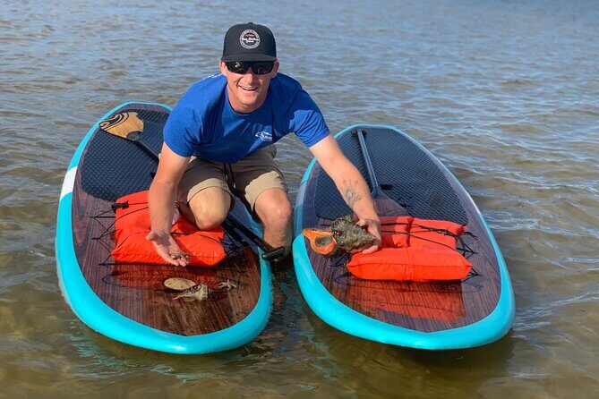 Dolphin and Manatee Tour of Marco Island by Kayak or SUP - An Authentic Florida Adventure: Exploring the Waters Around Marco Island