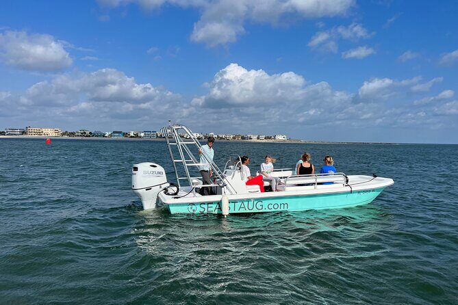 Dolphin and Nature Boat Excursion - Key Points