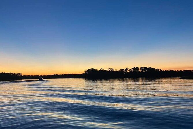 Dolphin and Nature Sunset Cruise from Orange Beach - A Deep Dive into the Experience