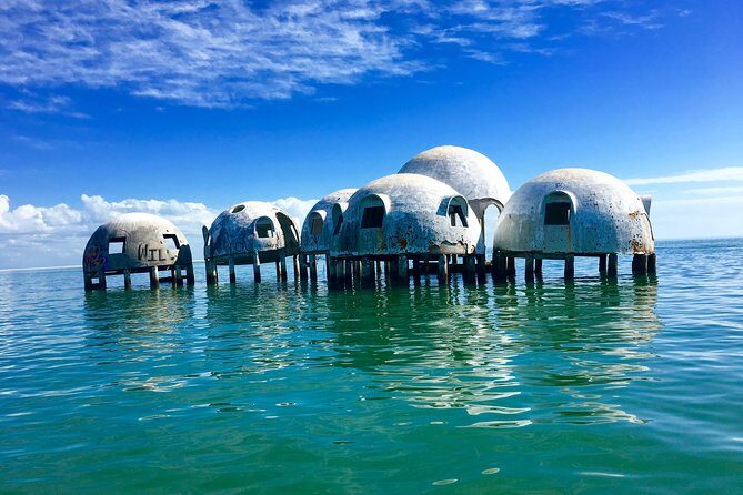 Dolphin and Shelling Cruise for up to 12 people - Why This Tour Delivers Great Value