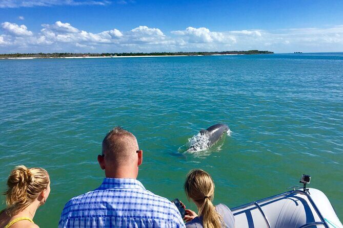 Dolphin and Shelling Cruise for up to 12 people - Frequently Asked Questions
