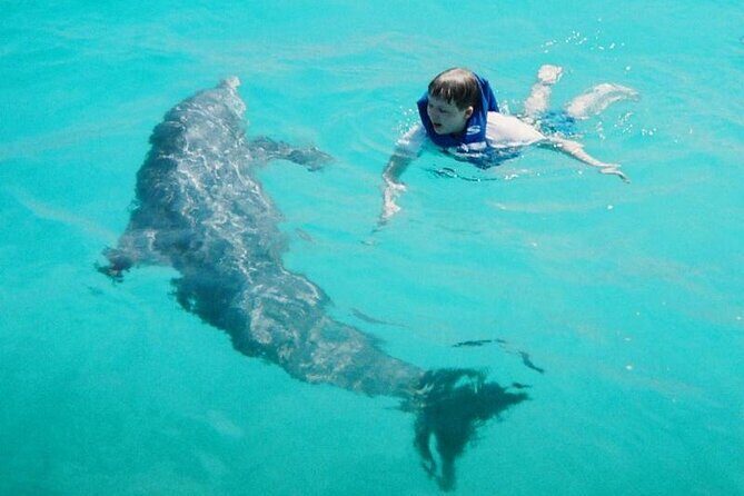 Dolphin and Snorkeling Activity in Panama City Florida - In-Depth Review of the Dolphin and Snorkeling Tour in Panama City