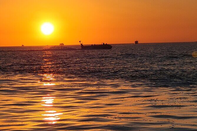 Dolphin and Sunset tour aboard the Hydro Rocket - Final Thoughts: Who Will Love This Tour?