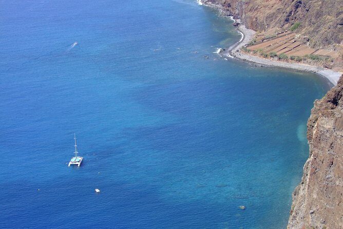 Dolphin and Whale Watching Catamaran Cruise from Funchal - Who Should Consider This Tour?