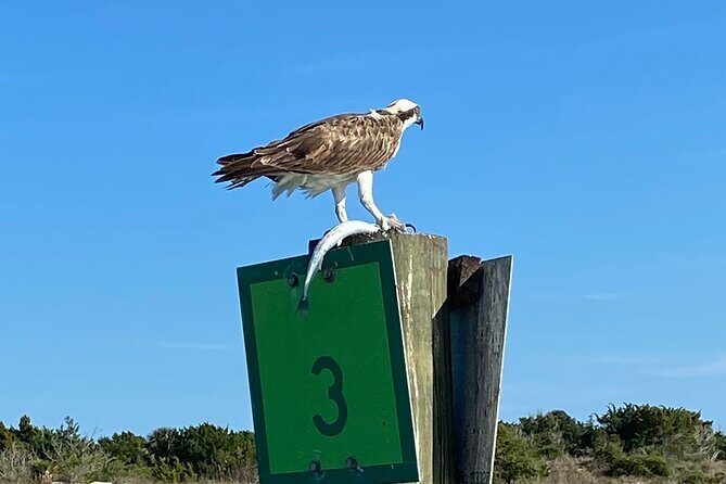 Dolphin and Wildlife History Tour - FAQs