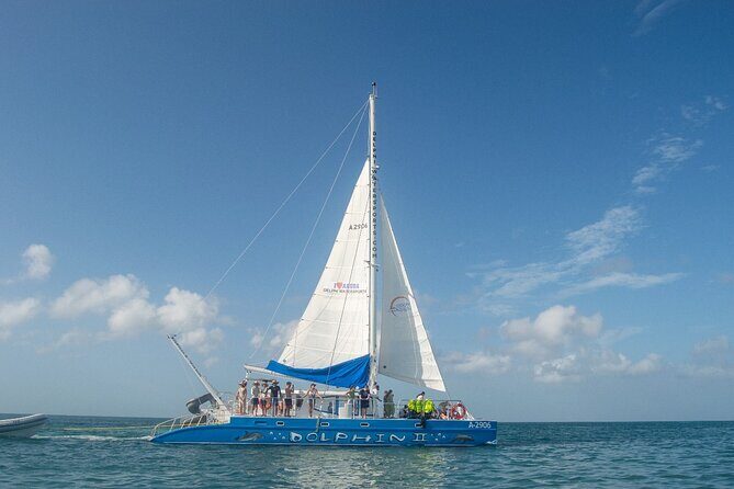 Dolphin Catamaran Snorkel and Sail with Open Bar - Starting Point and Check-In: Convenient and Friendly