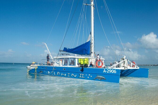 Dolphin Catamaran Snorkel and Sail with Open Bar - Lunch and Drinks: Light but Refreshing