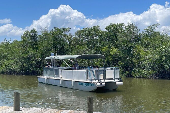 Dolphin Eco Cruise Nature Adventure in Cocoa Beach - Discover Cocoa Beach’s Natural Wonders with the Dolphin Eco Cruise
