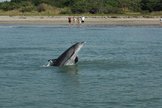 Dolphin Encounter - The Experience in Detail: What to Expect