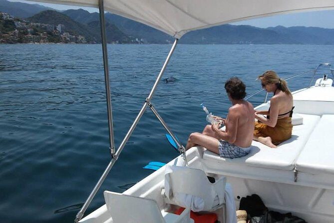 Dolphin Encounter - Why Choose This Tour? A Balanced Look