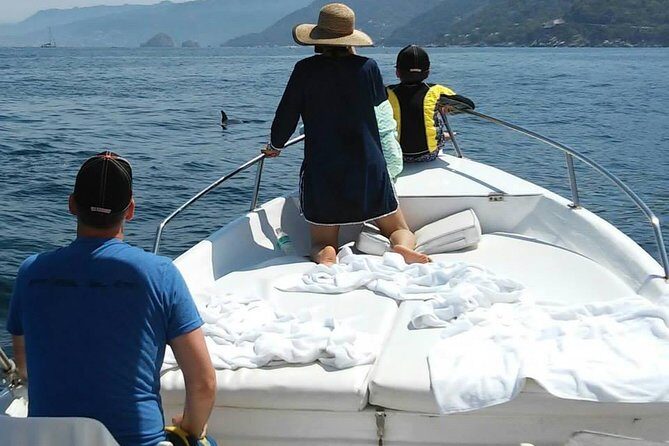 Dolphin Encounter - Final Thoughts: Who Should Book This?