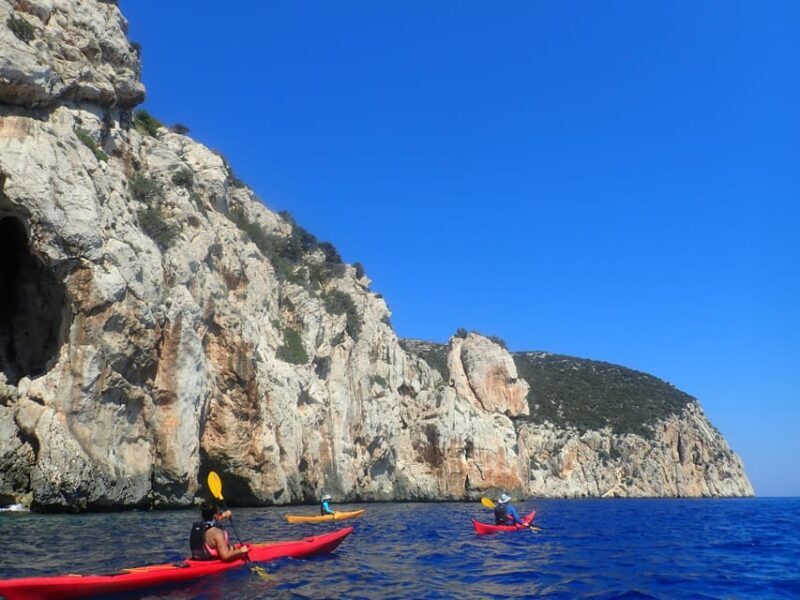Dolphin Kayak Safari at Sunset at Golfo Aranci - The Sum Up
