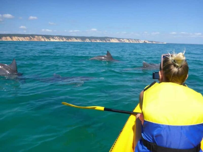 Dolphin Kayak Tour & Beach 4X4 National Park Tour (Private) - FAQs