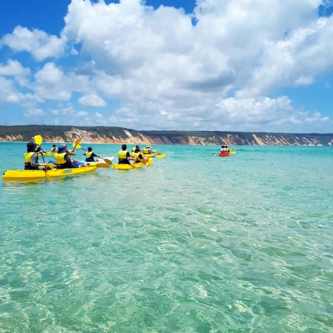 Dolphin Kayak Tour & Beach 4X4 National Park Tour (Private) - Final Thoughts