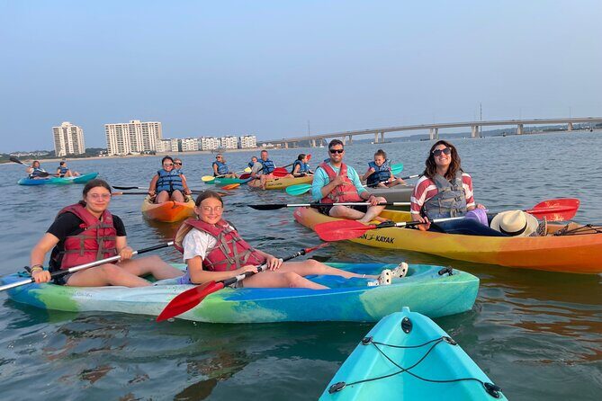 Dolphin Kayak Tour in Virginia Beach Must know how to swim - What We Love About This Experience