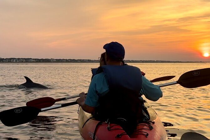 Dolphin Kayak Tour in Virginia Beach Must know how to swim - Potential Drawbacks