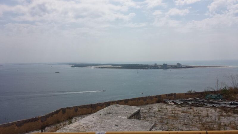 DOLPHIN LOVERS FULL DAY TOUR - Exploring Portugals Coast and Countryside: The DOLPHIN LOVERS FULL DAY TOUR