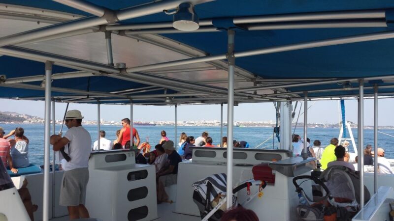 DOLPHIN LOVERS FULL DAY TOUR - Why This Tour is Worth Your Time