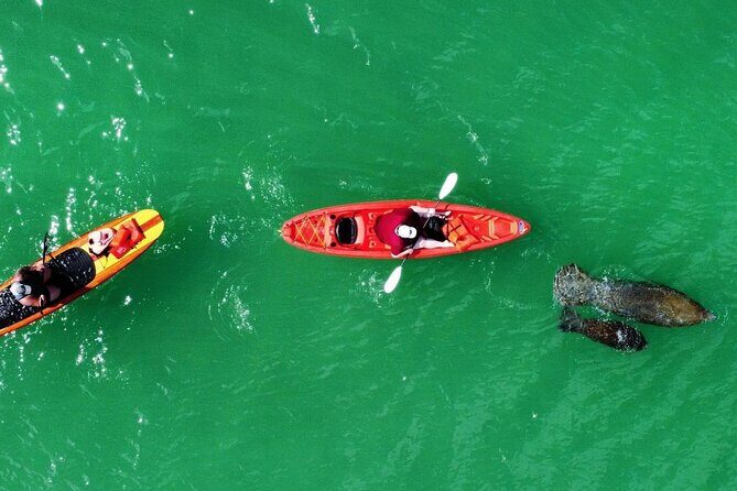 Dolphin, Manatee and Sea Turtle Adventure Tour of Bonita Springs - Frequently Asked Questions