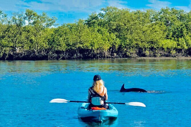 Dolphin, Manatee and Sea Turtle Kayak Adventure - Key Points