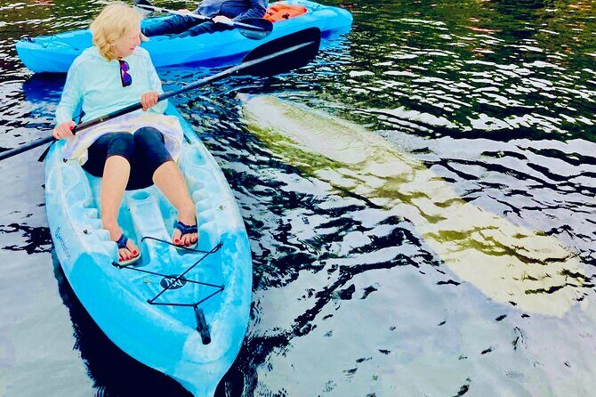 Dolphin, Manatee and Sea Turtle Kayak Adventure - A Closer Look at the Tour Experience