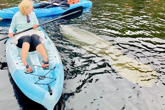 Dolphin, Manatee and SeaTurtle SUP Adventure Tour of St Augustine - FAQs